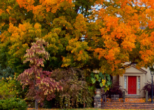 The Farmhouse surrounded by fall foliage.