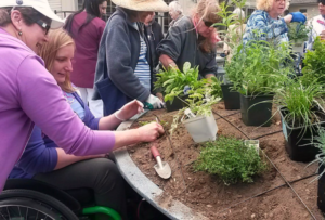 Volunteers help plant plants in the Garden Within Reach.