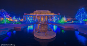 The winter garden covered in multicolored lights lights up at night.