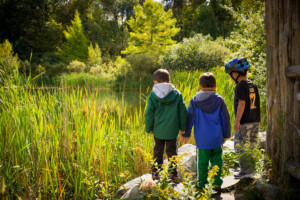Three boys stand outside the wildlife refuge pond looking into the water.