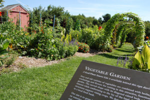 Vegetable Garden sign