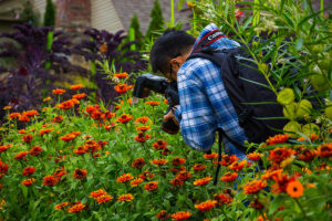 A visitor takes a photo of some flowers.