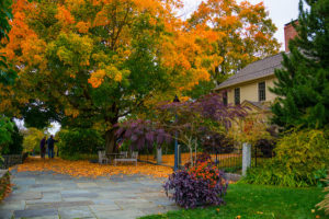 The garden starts to show fall foliage in front of the cottage