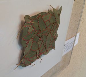 Strand and stem, art exhibition leaf artwork
