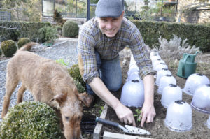 Matt Mattus and his dog Fergus plant early sweet peas for cut flowers in March under cloches.
