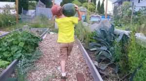 A young boy holds a watermelon on his shoulder.