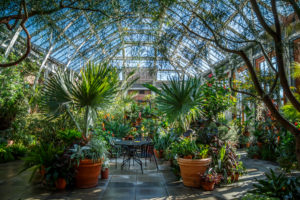 The Orangerie is filled with plants and the sun shines in with blue skies.