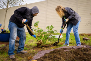 The Worcester Tree Initiative conducts plantings in the city each year.