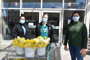 THBG CEO Grace Elton delivers daffodils to staff at UMass Memorial Medical Center in Worcester.