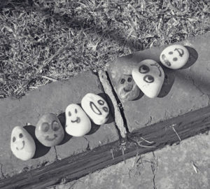 Pet rocks lined up on a curb