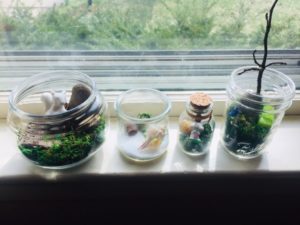 Terrarium filled with soil and succulents craft.