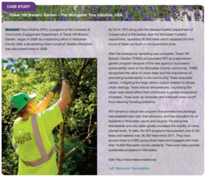 Worcester Tree Initiative case study