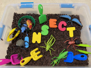 insect sensory bin