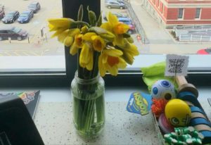 Daffodils in a vase.