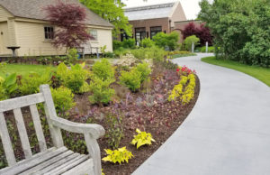 A garden bed in the Cottage Garden is flush with shrubs and other plants ready for spring to continue.