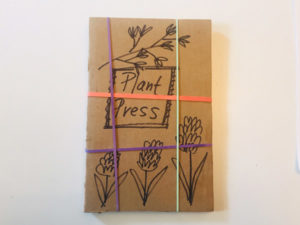 plant press book held together with rubber bands