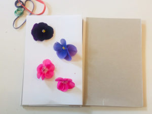 Flowers lay on a notebook where they will be pressed.