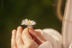 A hand in view holds a daisy