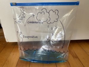 The water cycle craft