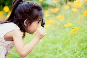 A young girl uses a magnifying glass to look closer at wildflowers in bloom.