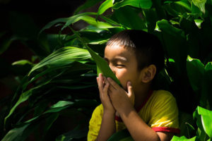 A young child smells a large leaf