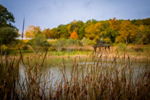 Refuge Pond with fall foliage.