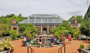 Visitors wander the Winter Garden and check out the frogs in the turtle fountain.