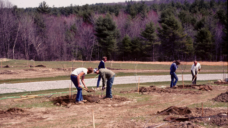 Planting the Orchard