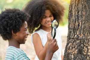 Children inspect a tree with magnifying glasses.