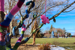 Colorful yarn wrapped around tree limbs