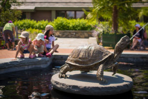 Kids enjoying the turtle fountain in the winter garden during the summer.