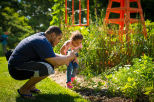 A plant grows in the Vegetable Garden and a child looks on.