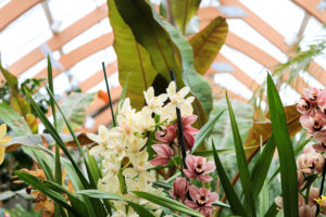 An orchid planter sits at the entrance of the Limonaia