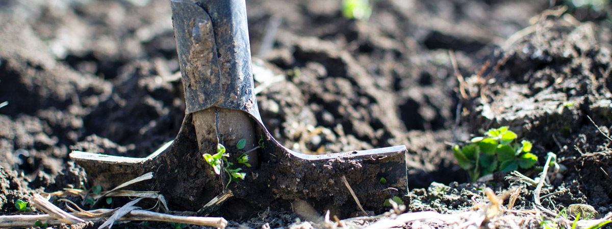a garden tool in the soil