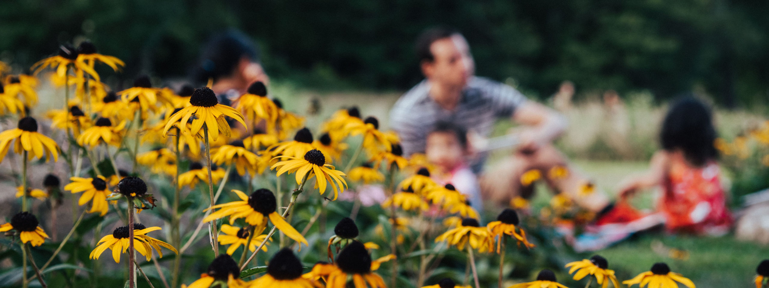 Yellow flowers with a family in the background