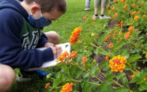 A child writes on a clipboard while looking at flowers in the Lawn Garden.