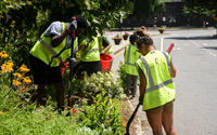 Volunteers from WooServes work alongside Garden horticulture staff to plant in the median.