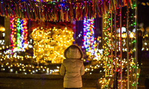 A visitor stands in awe of the Night Lights decorations in the Nadeau Garden.