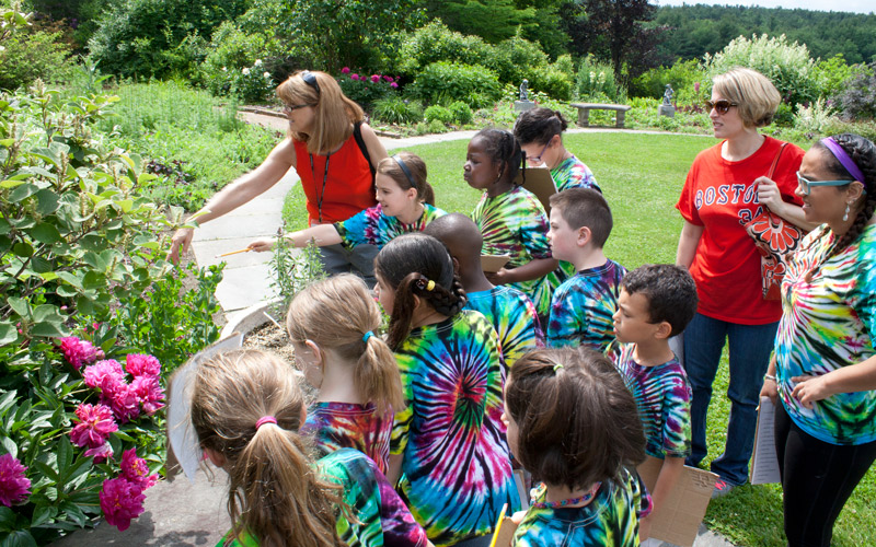 A field trip group learn about plants in the Secret Garden.
