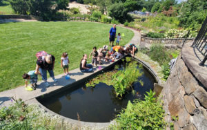 Kids gather around the pond in the Secret Garden.