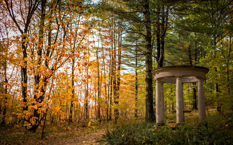 Fall foliage within the Inner Park