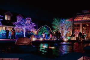 The Winter Garden illuminated with colorful lights during Night Lights