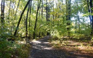 A path in the Inner Park takes visitors toward the Wildlife Refuge Pond.