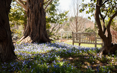 Spring blooms cover the ground of various beds in the Lawn Garden.