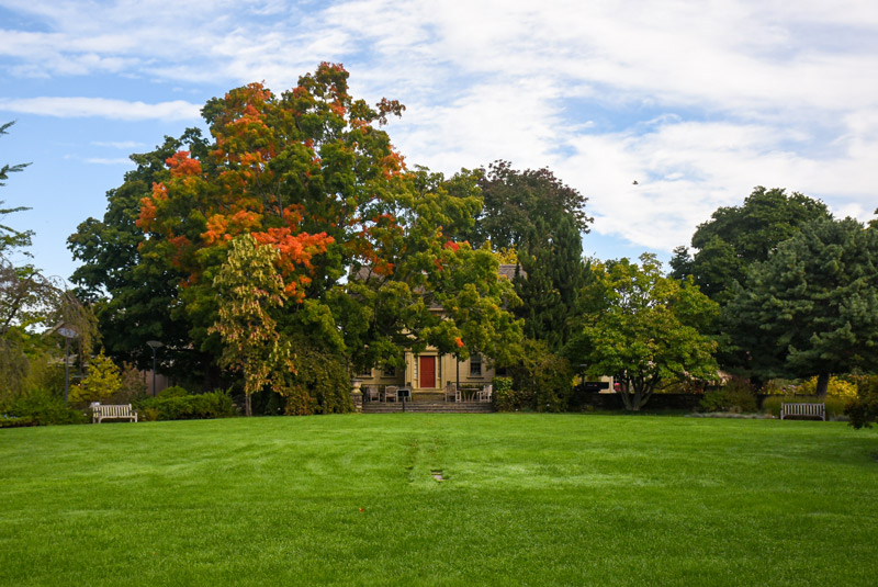The maple tree beside the farmhouse is turning colors as the green of the Lawn Garden's grass pops vibrantly.