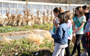 A group of girls scouts gather around a section of the Garden