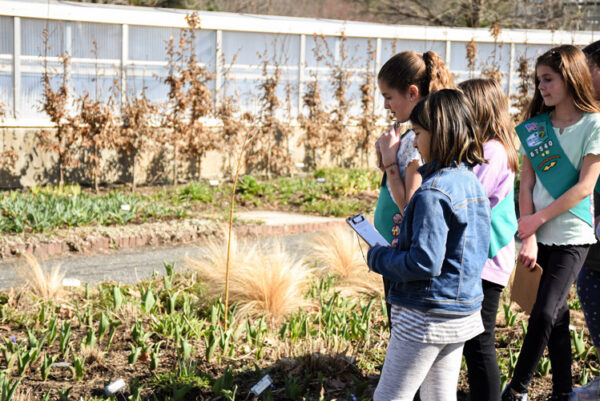 A group of girls scouts gather around a section of the Garden
