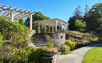 A side view of the fountain and stairs in the Secret Garden.
