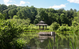 The Wildlife Refuge Pond in late springtime.