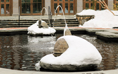 The fountain is heated and allows the turtles to run water all year long.